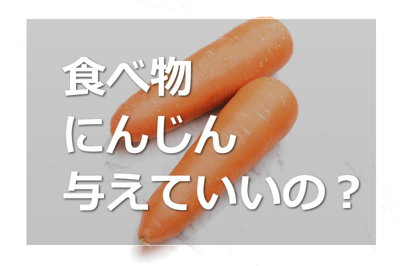 ハムスターににんじんは与えて良いか