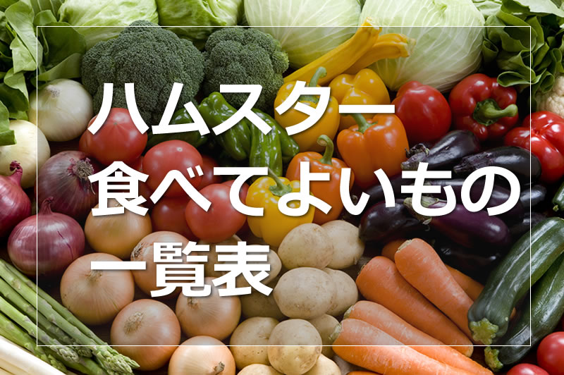 ハムスターが食べて良いもの食べてはいけないものリスト ゴールデンハムスターの幸せを願って