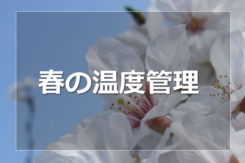 ハムスターの春の温度管理