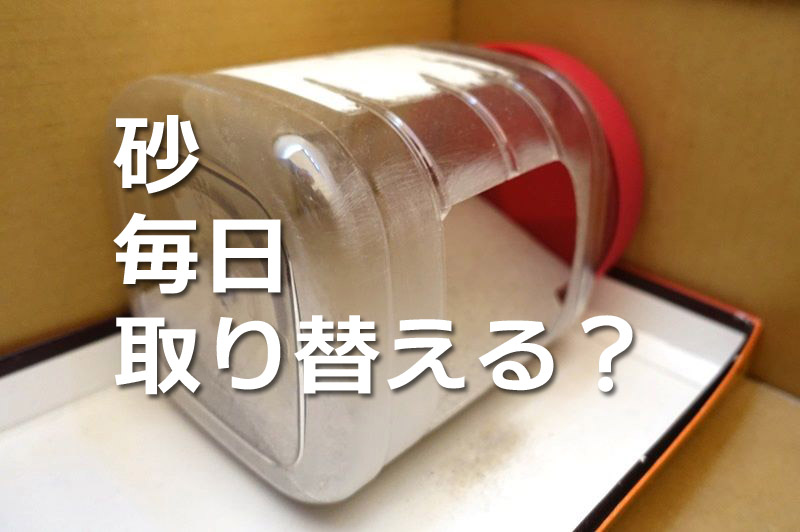 ハムスターの砂場毎日取り替える？