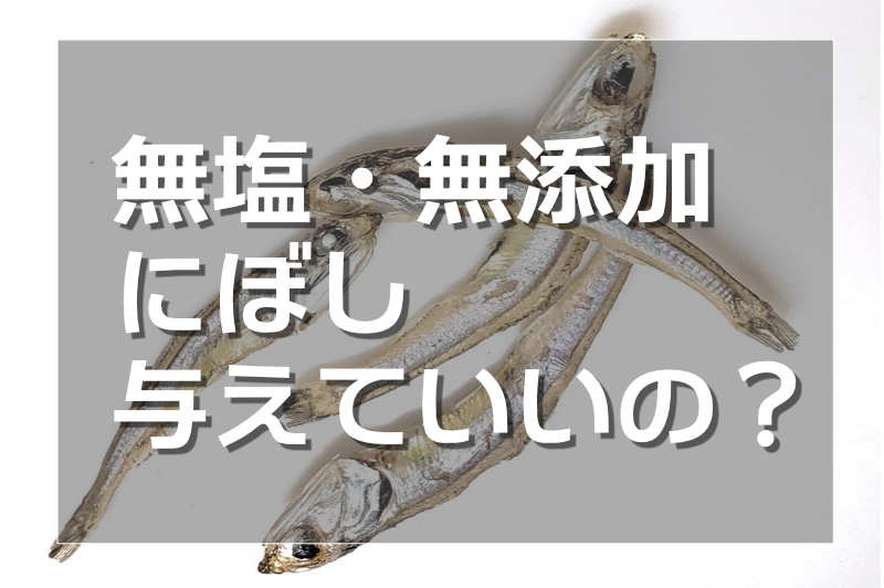 にぼしはハムスターに与えて良いか