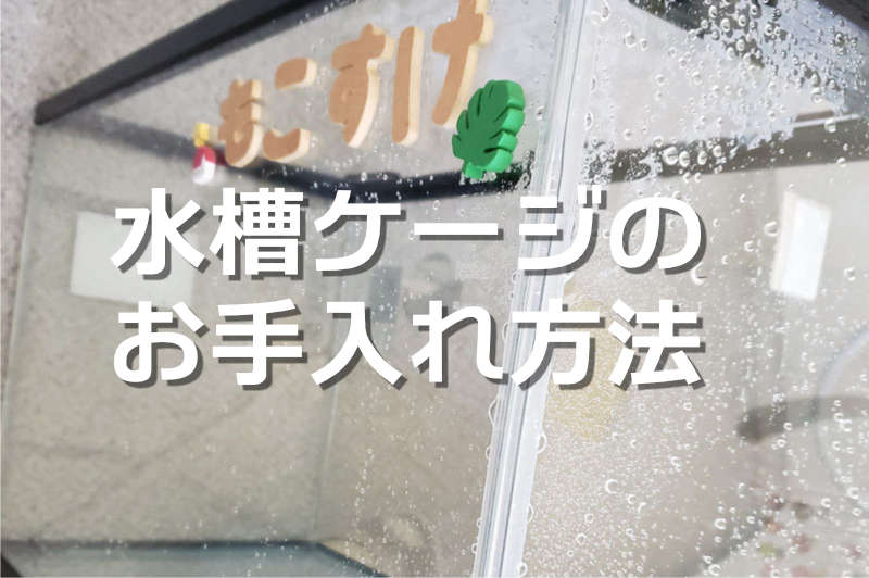 ハムスター用水槽のお手入れ方法